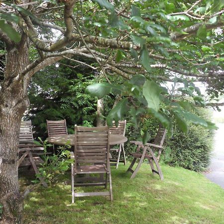 Ethan Cottage Killarney Zewnętrze zdjęcie