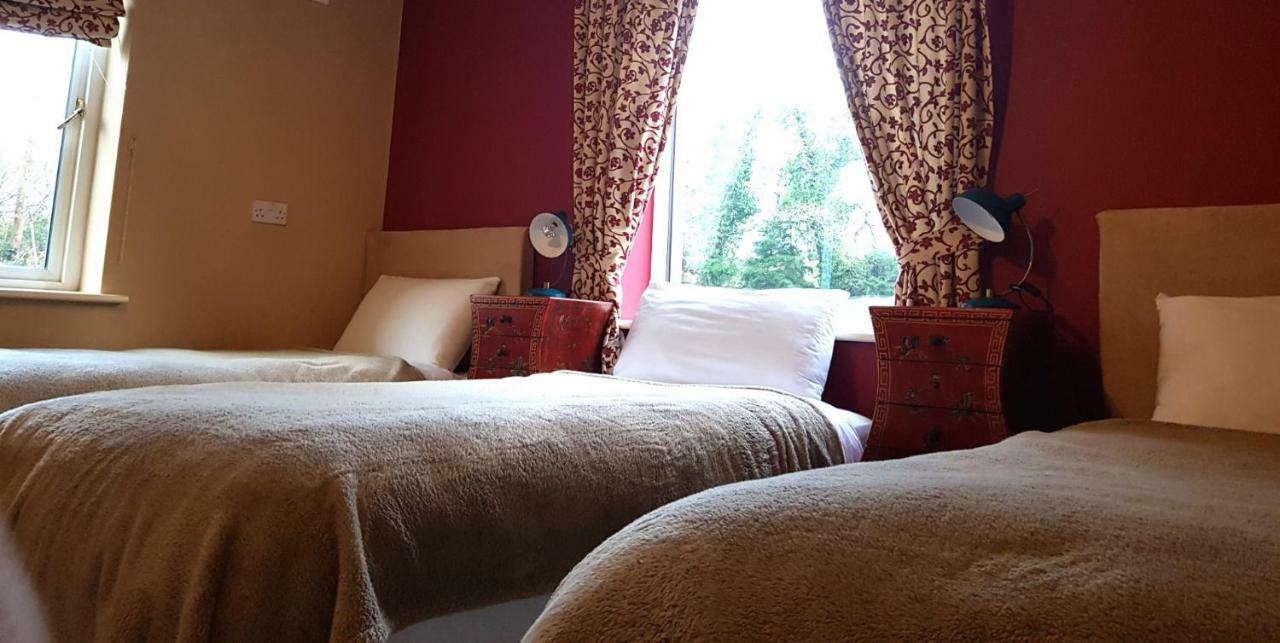 Ethan Cottage Killarney Zewnętrze zdjęcie
